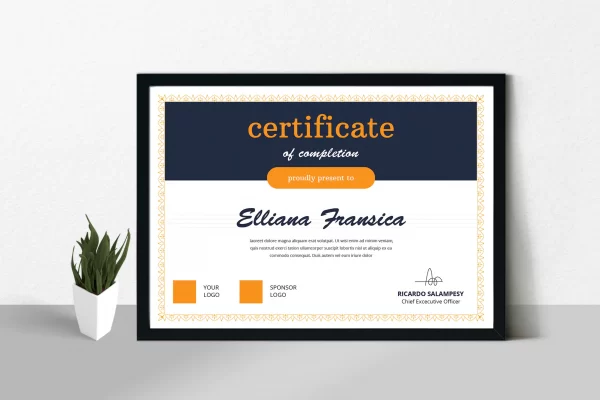 diplome personalizate