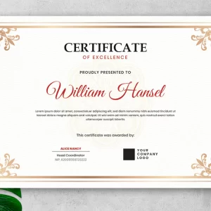diplome personalizate